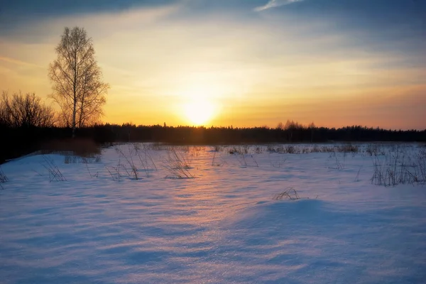 In de winter-veld. — Stockfoto