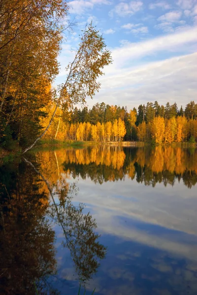 Jesienny nad jeziorem — Zdjęcie stockowe