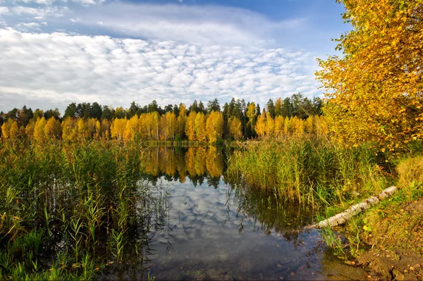 Lago otoñal — Foto de Stock