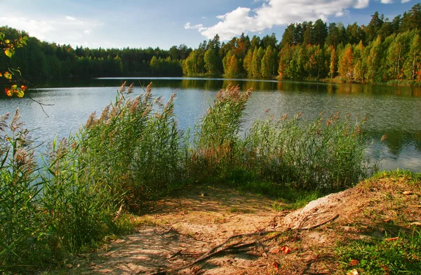 Autumnal lake — Stock Photo, Image