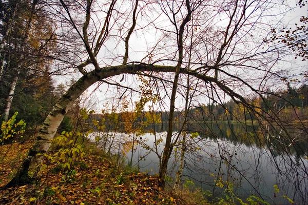 Lago autunnale — Foto Stock