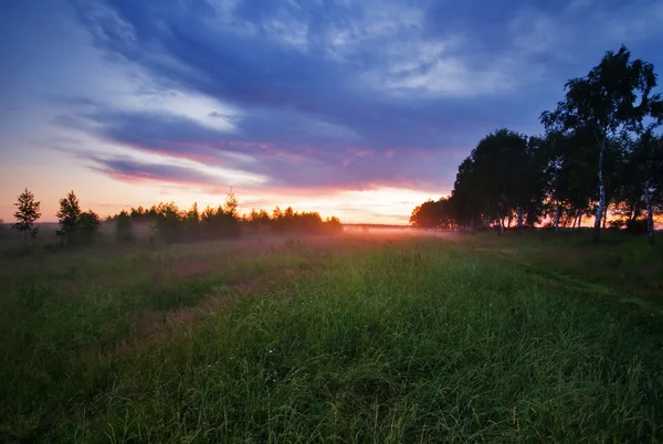 Sonnenuntergang im Sommerfeld — Stockfoto