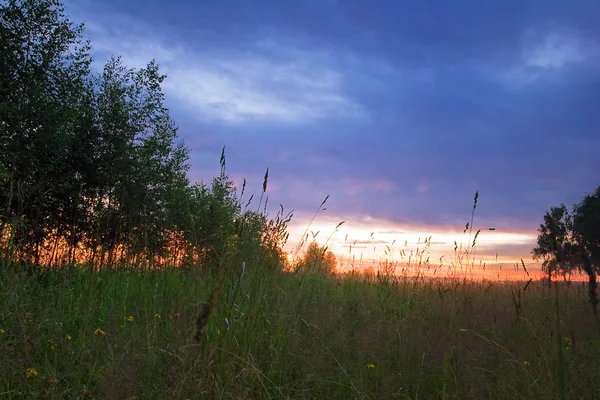 Západ slunce v poli letní — Stock fotografie