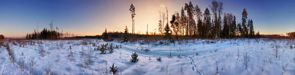 En el campo de invierno . — Foto de Stock