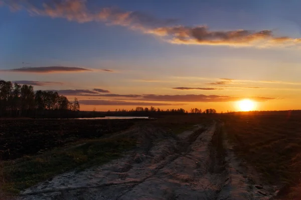 stock image Sunset in the summer field