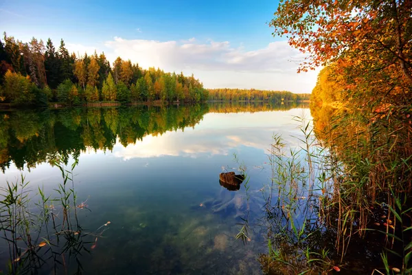 Осінній озеро Стокова Картинка