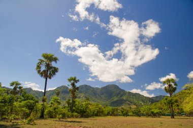 güzel görünüm bali Adası