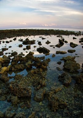 Sunrise bali Adası