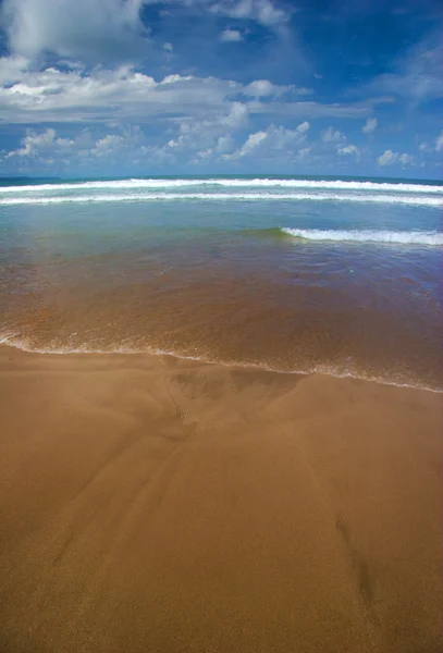 Na tropické pláži. — Stock fotografie