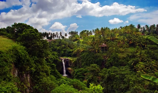 在巴厘岛上的热带森林中的瀑布 — 图库照片