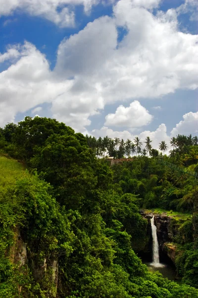 Cachoeira na floresta tropical em Bali — Fotografia de Stock