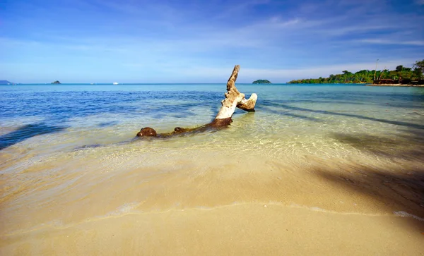 Pe plaja tropicală — Fotografie, imagine de stoc