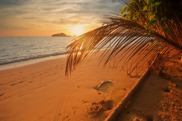 Tropisk solnedgång — Stockfoto