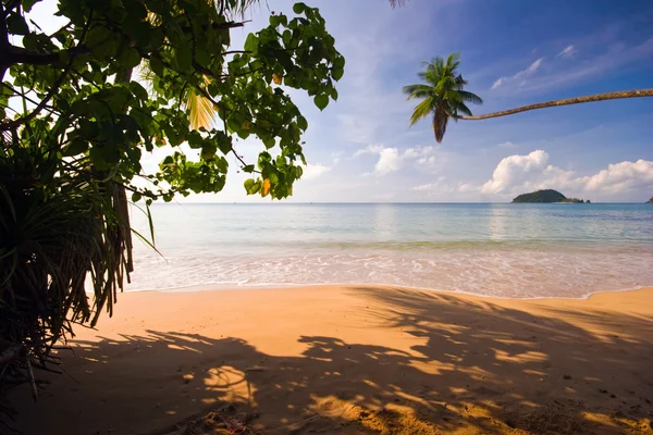 Op het tropische strand — Stockfoto