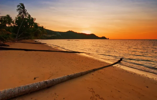 Tropisk solnedgång — Stockfoto