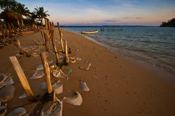 Stock image Tropical sunset