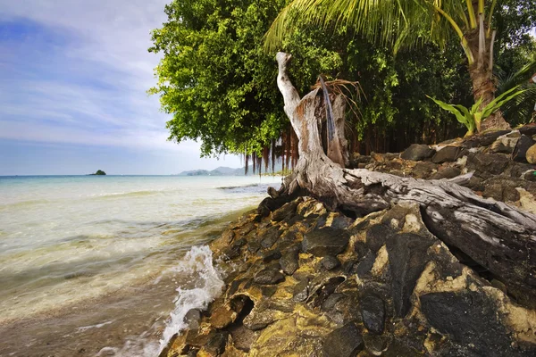 Sulla spiaggia tropicale — Foto Stock