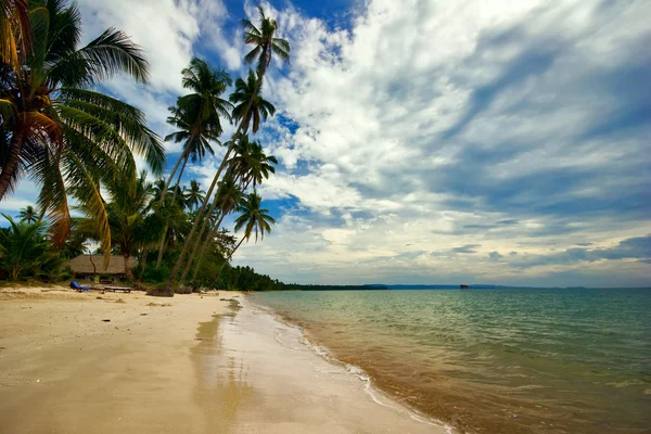 On the tropical beach — Stock Photo, Image