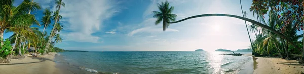 Panorama de praia tropical Fotografias De Stock Royalty-Free