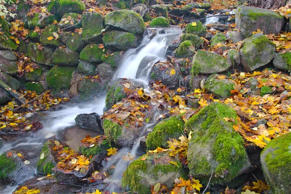 Beautiful cascade waterfall in autumn fo — Stock Photo, Image