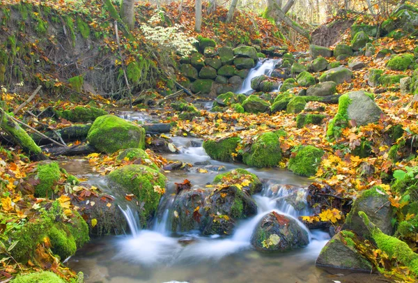 Красивий каскадний водоспад восени фо — стокове фото