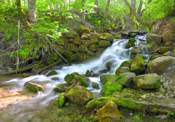 Zöld a gyönyörű cascade vízesés — Stock Fotó