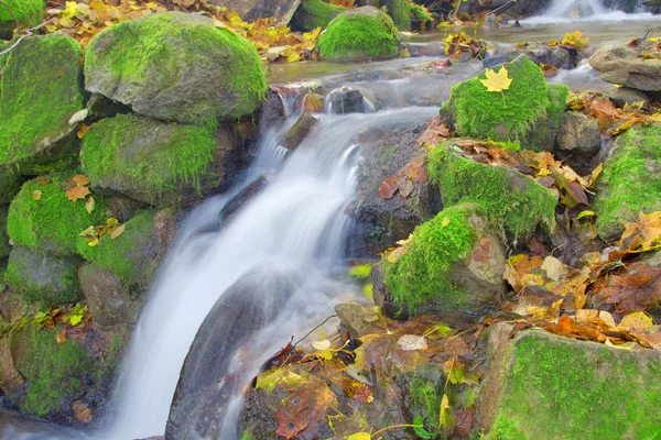 Piękny wodospad w jesiennym lesie — Zdjęcie stockowe