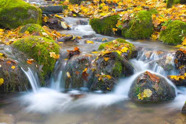 Schöner Kaskadenwasserfall im Herbst — Stockfoto