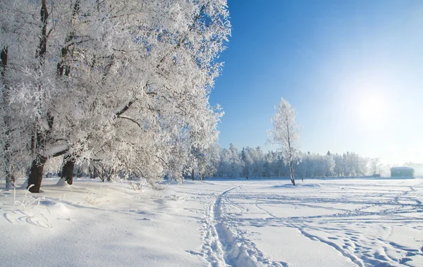 Téli park hóban — Stock Fotó