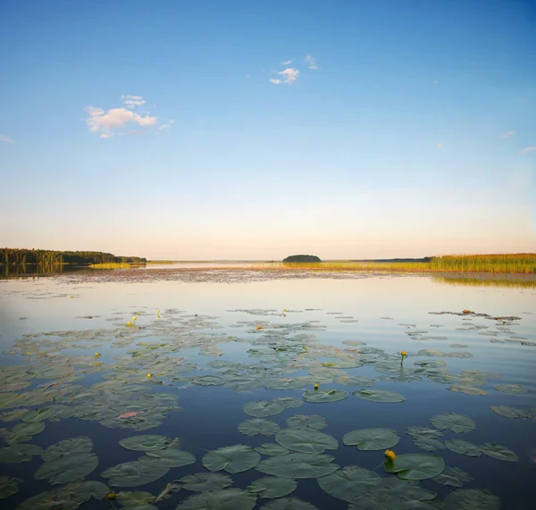 Lindo lago — Fotografia de Stock