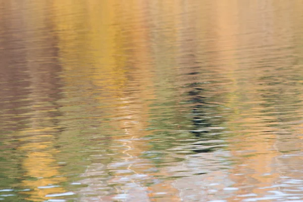 Отражение осеннего леса на воде — стоковое фото