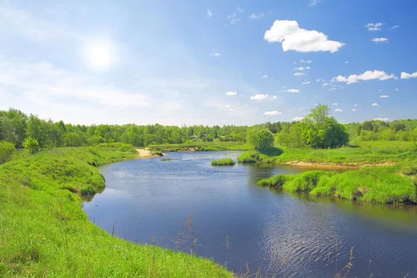 Hermoso paisaje de verano. río y yo — Foto de Stock