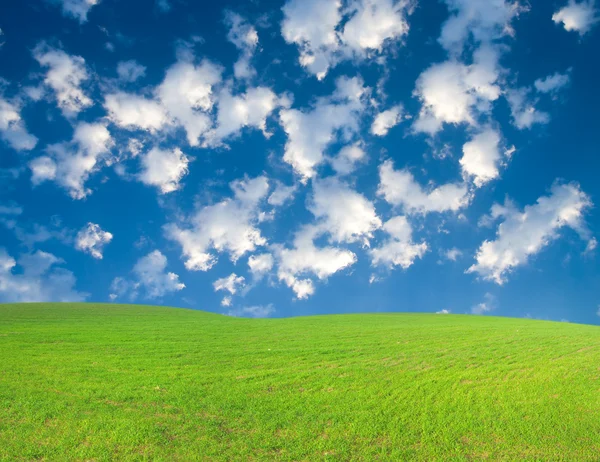 Grön kulle under blå mulen himmel whit su — Stockfoto