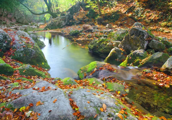 秋天森林中美丽的河流 — 图库照片