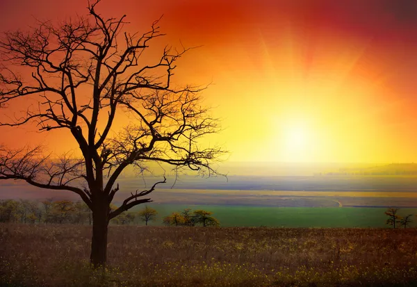 Schöne Landschaft und Sonnenaufgang lizenzfreie Stockfotos