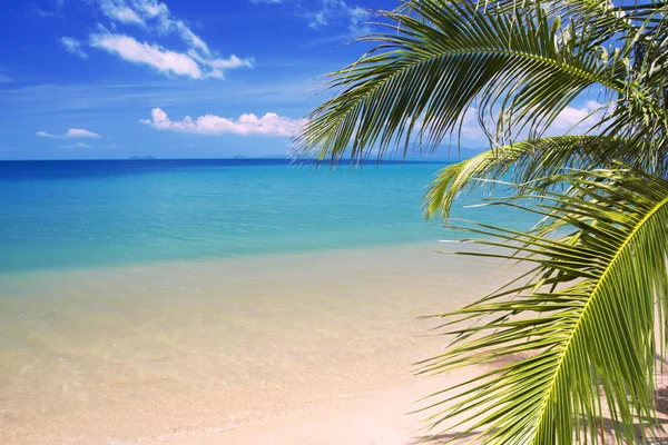 Hermosa playa tropical y el mar Imagen de stock