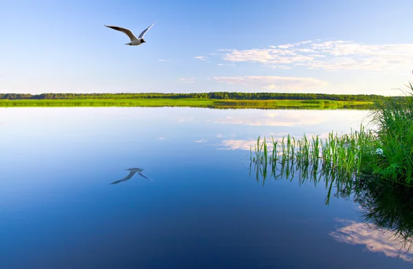 Piękne jezioro Obrazek Stockowy