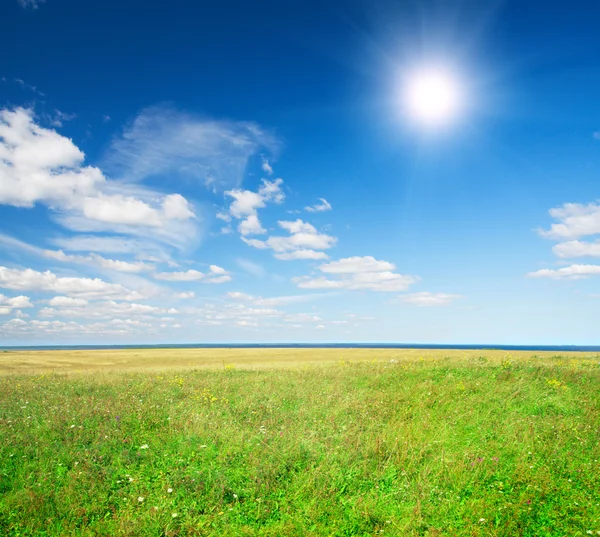 Campo verde sotto cielo nuvoloso blu con s — Foto Stock