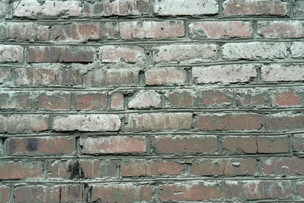 Stock image Old brick wall