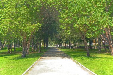 Yeşil Park yolu