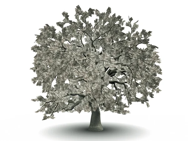 Денежное дерево — стоковое фото
