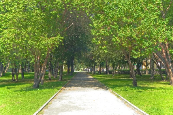 Pathway in green park — Stock Photo, Image