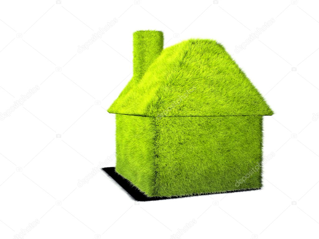 house covered with grass.