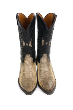 Boots from a skin of a snake clipart