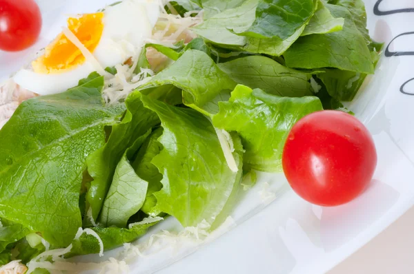 Frischer Salat mit Salat und Tomaten — Stockfoto