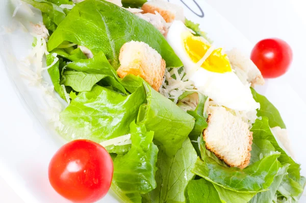 stock image Fresh salad