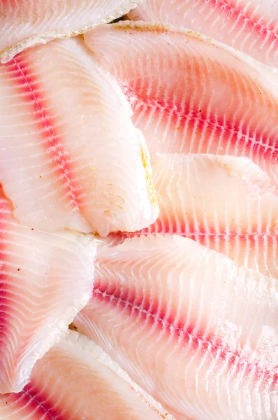 Filete de peixe — Fotografia de Stock