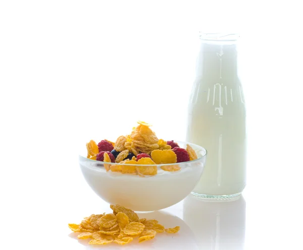 A gabonapehely és a friss bogyós gyümölcsök és a tej — Stock Fotó