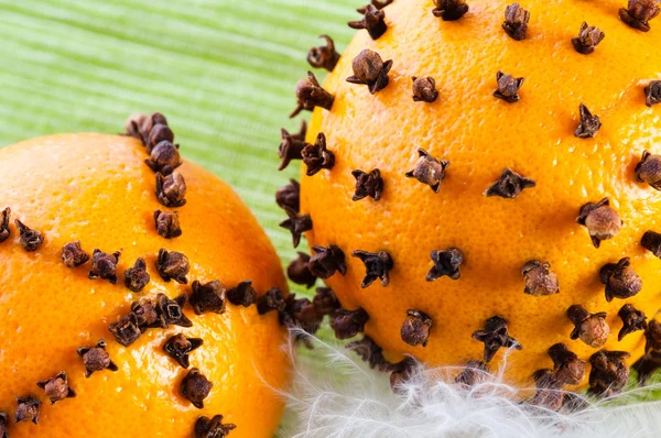 Oranges studded with cloves — Stock Photo, Image