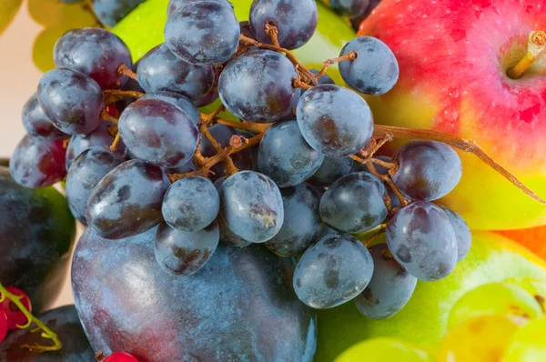 Frutas frescas. contexto — Fotografia de Stock
